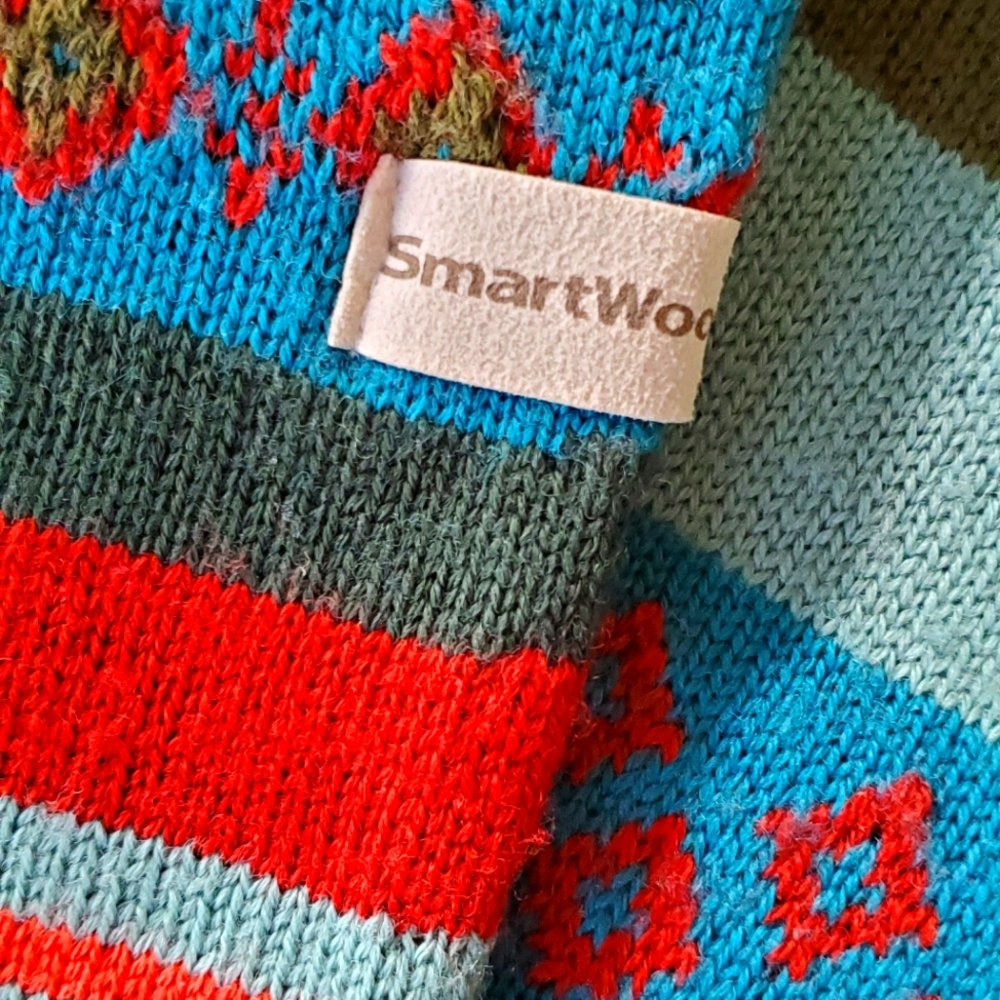 Smartwool infinite scarf